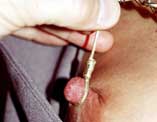 Ultimate Nipple Torment 7: Lynda Rick Savage Videos